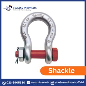 Shackle