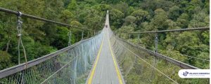 Peran Wire Rope dalam Struktur Jembatan Rengganis