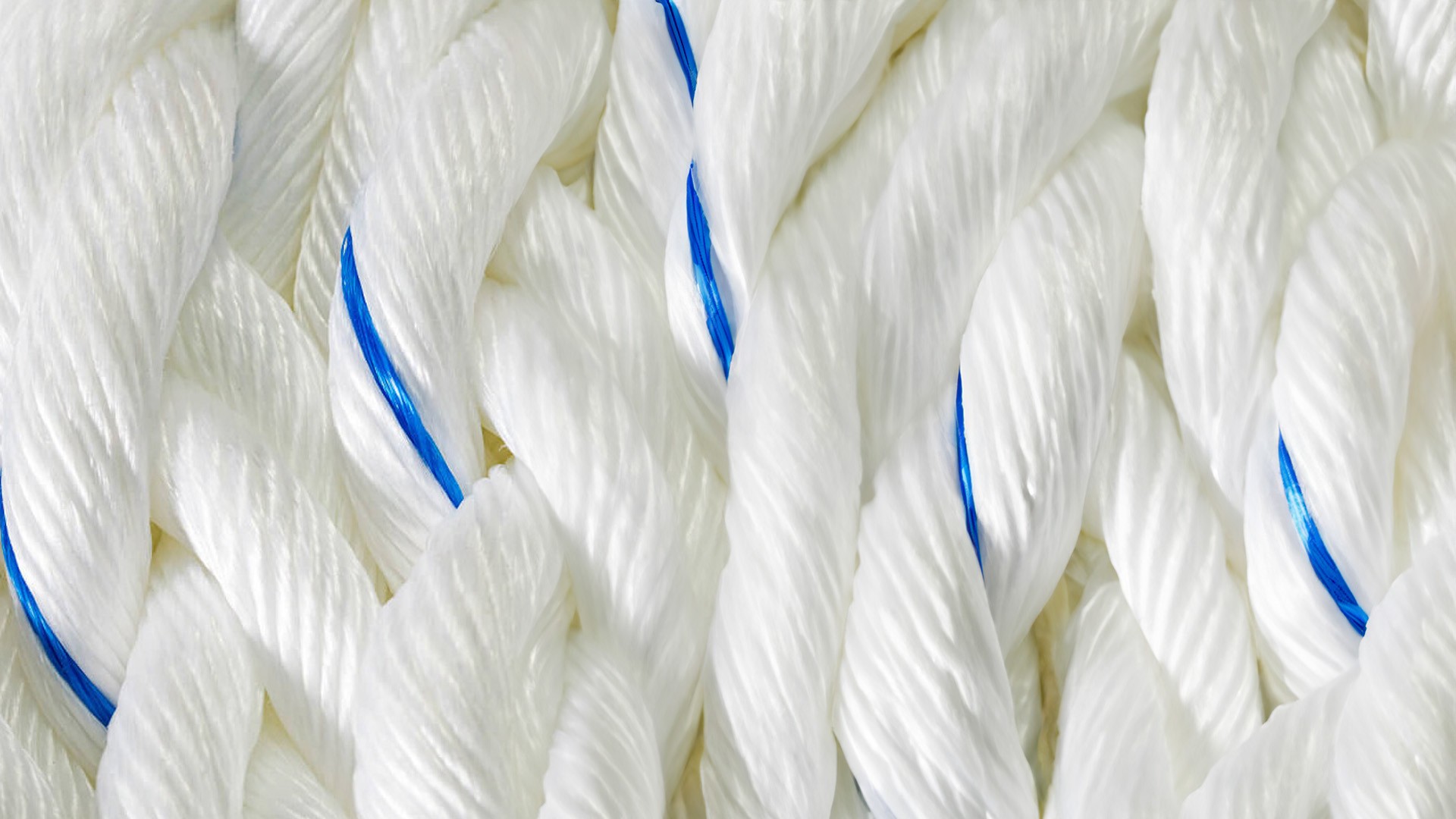 Tali Pp Monofilament