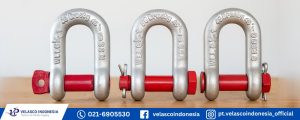 Jual Shackle Dee Merk Crosby